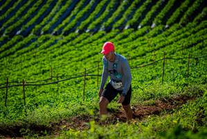 BIB: 2270
                            <button type="button" onclick="openModal(19160844)" class="btn btn-primary btn-sm float-right btn-popup" data-toggle="modal" data-target=".modal-high-quality">
                        <i class="fas fa-shopping-cart"></i> Add to Cart
                    </button>
                                            <button type="button" onclick="isThisMe(19160844, true)" class="btn btn-success btn-sm float-right btn-popup btn-isme hidden" data-toggle="tooltip" data-placement="bottom" title="นี่คือรูปของคุณใช่ไหม คลิกที่นี่เพื่อเอาเข้าอัลบั้ม">
                        <i class="fas fa-plus"></i> Add to album
                    </button>
                    <button type="button" onclick="isThisMe(19160844, false)" class="btn btn-warning btn-sm float-right btn-popup btn-isnotme hidden">
                        <i class="fas fa-ban"></i> Remove from album
                    </button>